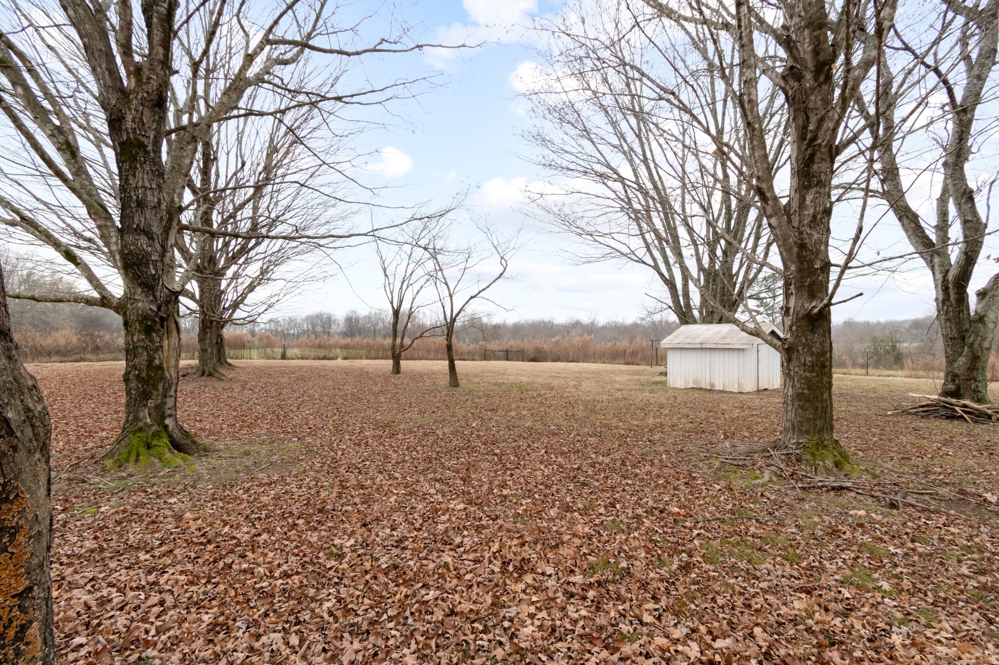 640 Powell Chapel Road Pulaski, TN 38478 - Photo 35 of 50 a backyard of a house with lots of green space