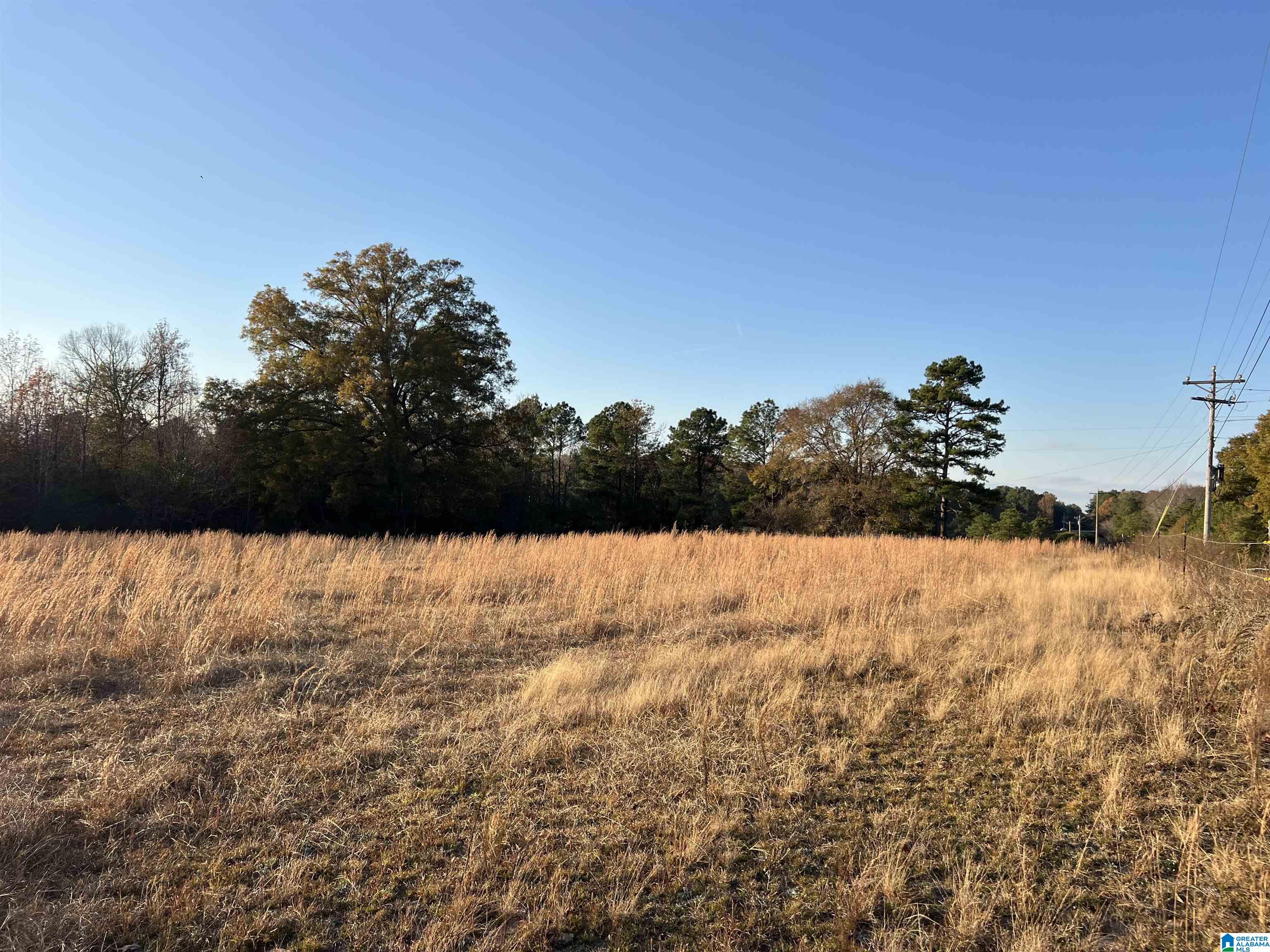 11-acres Risers Mill Road, Unit 11 ACRES Alpine, AL 35014 - Photo 2 of 23