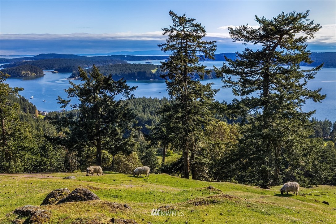 1125 Decatur Highland Drive Decatur Island, WA 98221 - Photo 17 of 25