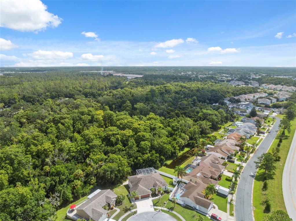 8125 Setters Point Drive New Port Richey, FL 34653 - Photo 36 of 58 Aerial View