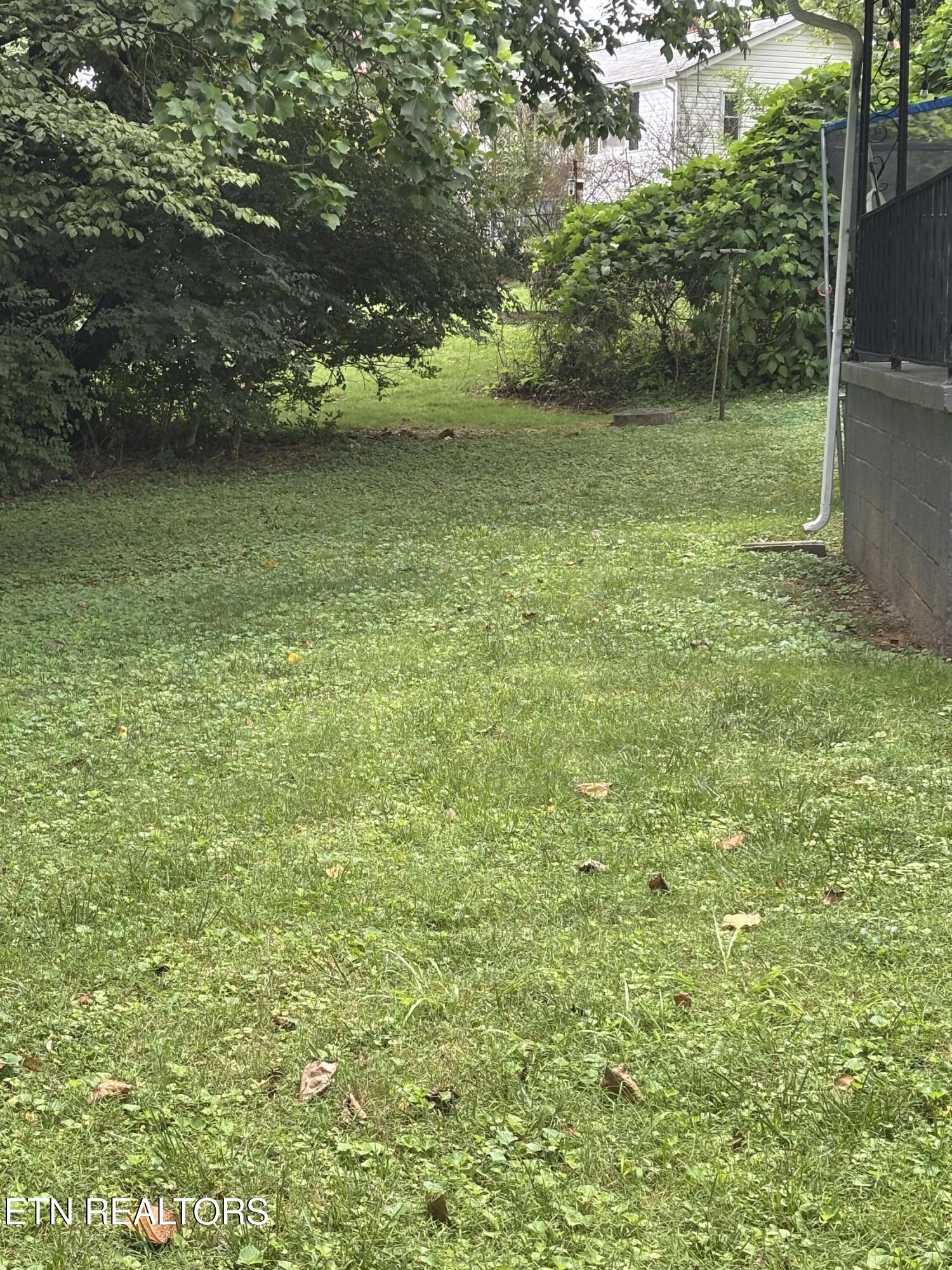 107 Porter Road Oak Ridge, TN 37830 - Photo 22 of 23 Level back yard