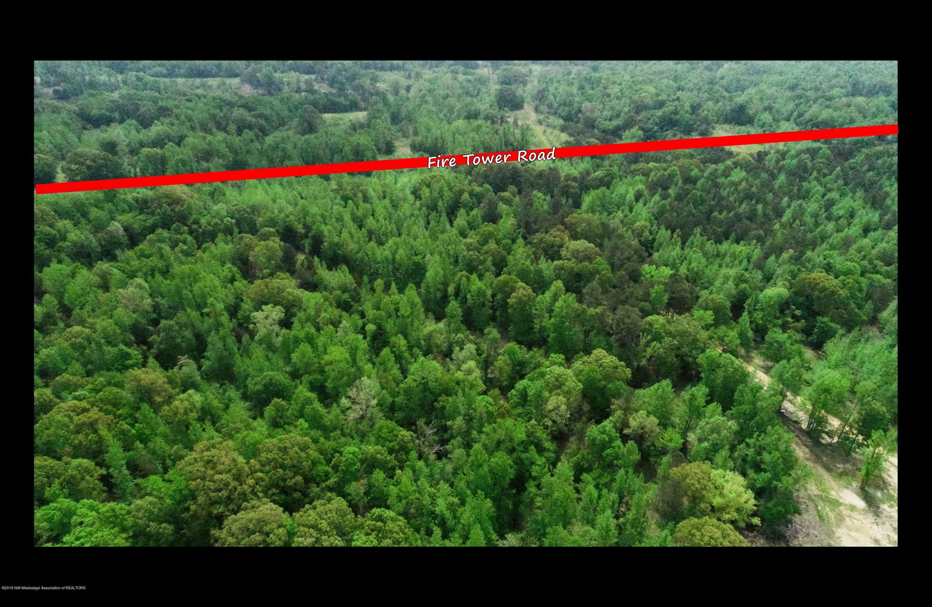 0 Fire Tower Road Como, MS 38619 - Photo 11 of 56 DJI_0020 C