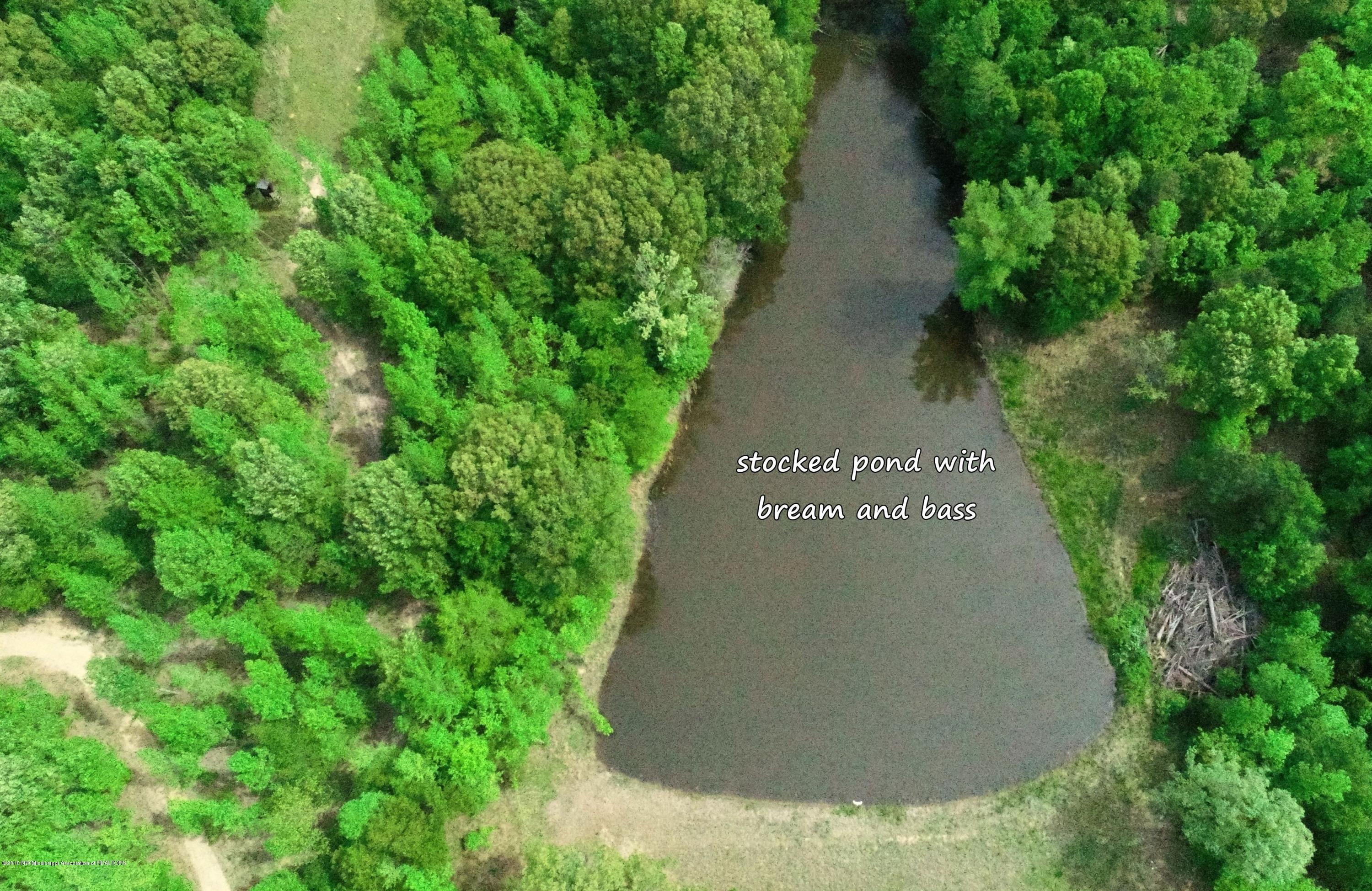 0 Fire Tower Road Como, MS 38619 - Photo 12 of 56 DJI_0021 B