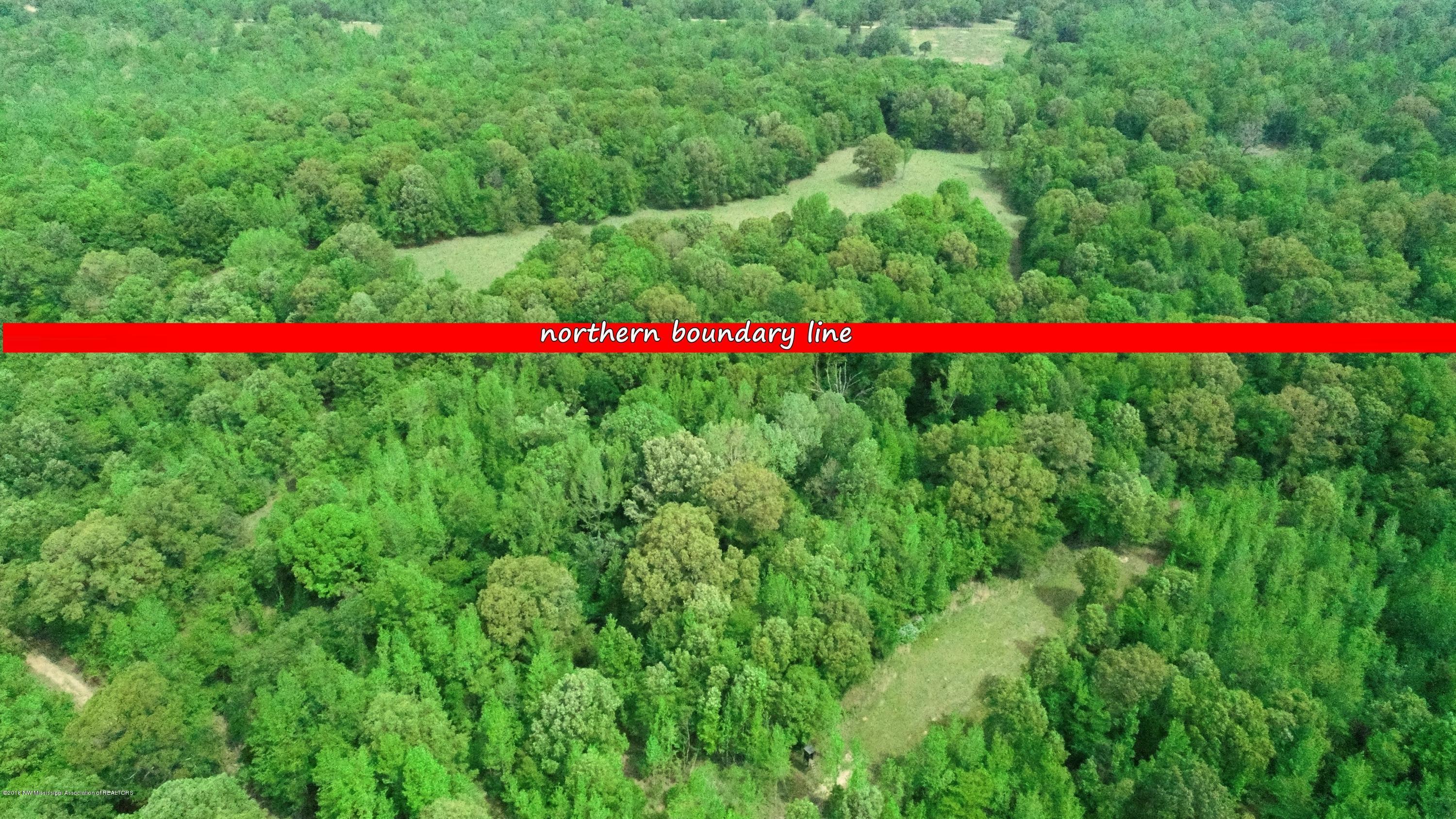 0 Fire Tower Road Como, MS 38619 - Photo 13 of 56 DJI_0023 C