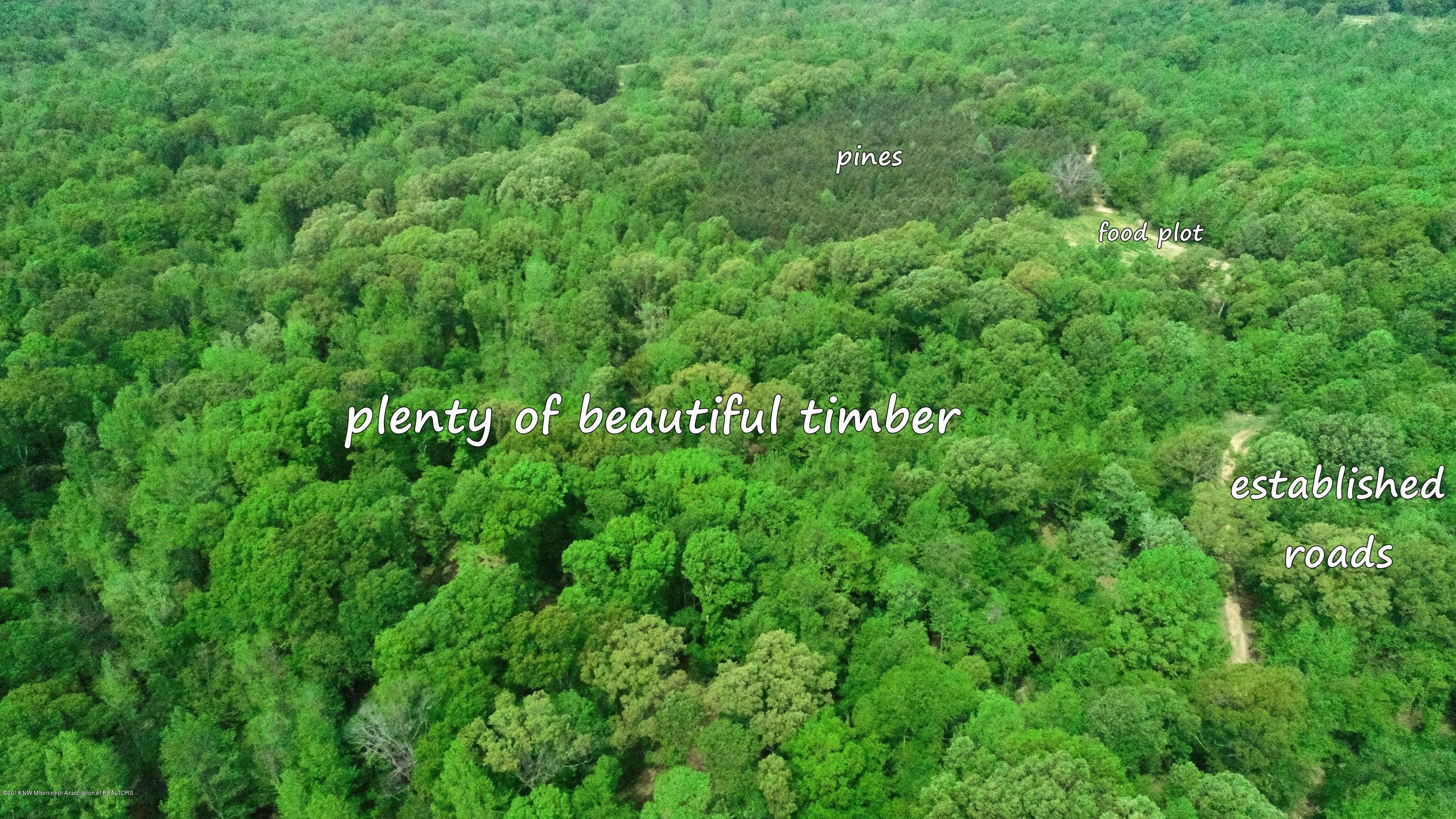 0 Fire Tower Road Como, MS 38619 - Photo 14 of 56 DJI_0024 C