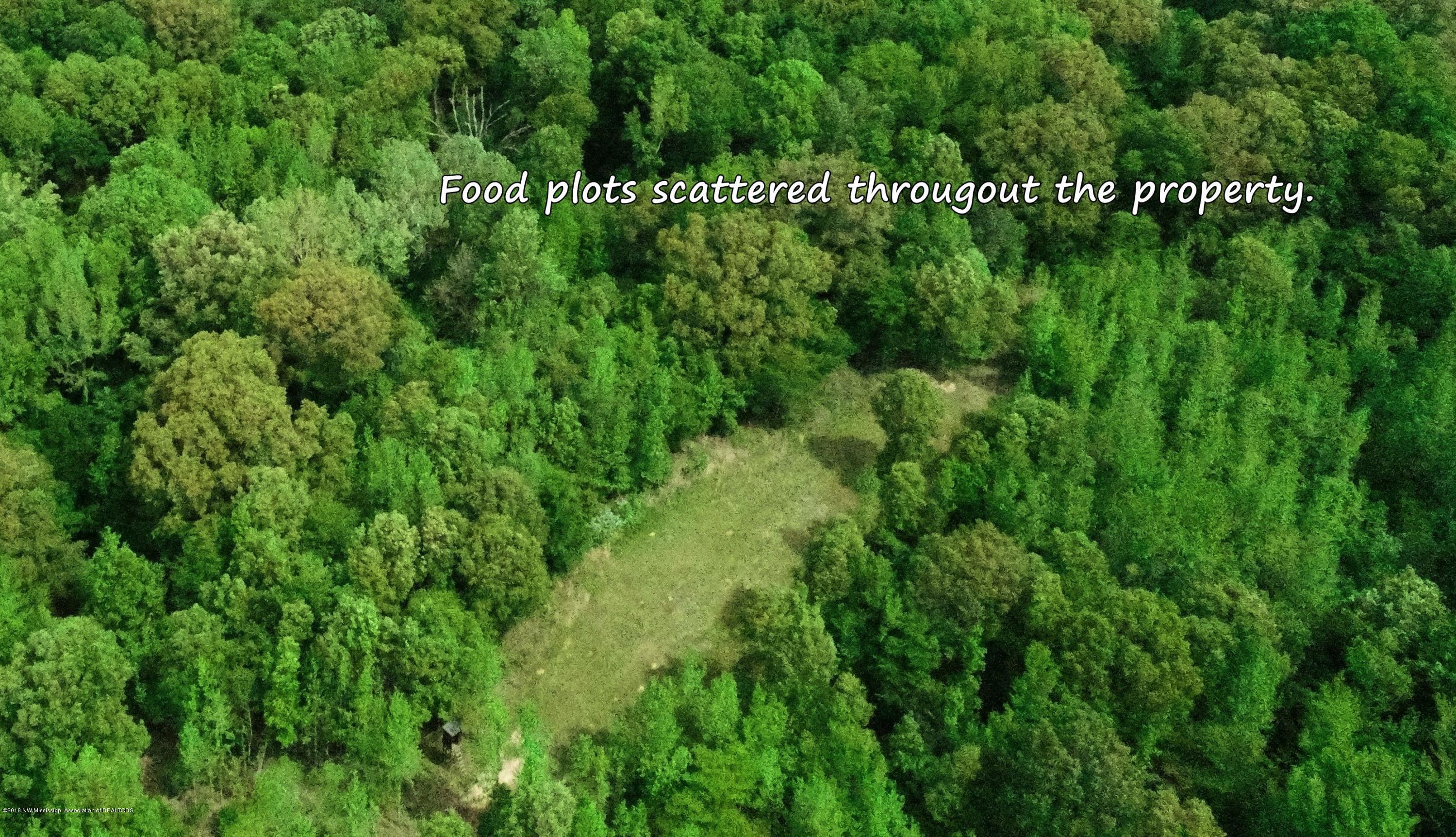 0 Fire Tower Road Como, MS 38619 - Photo 15 of 56 DJI_0027 B