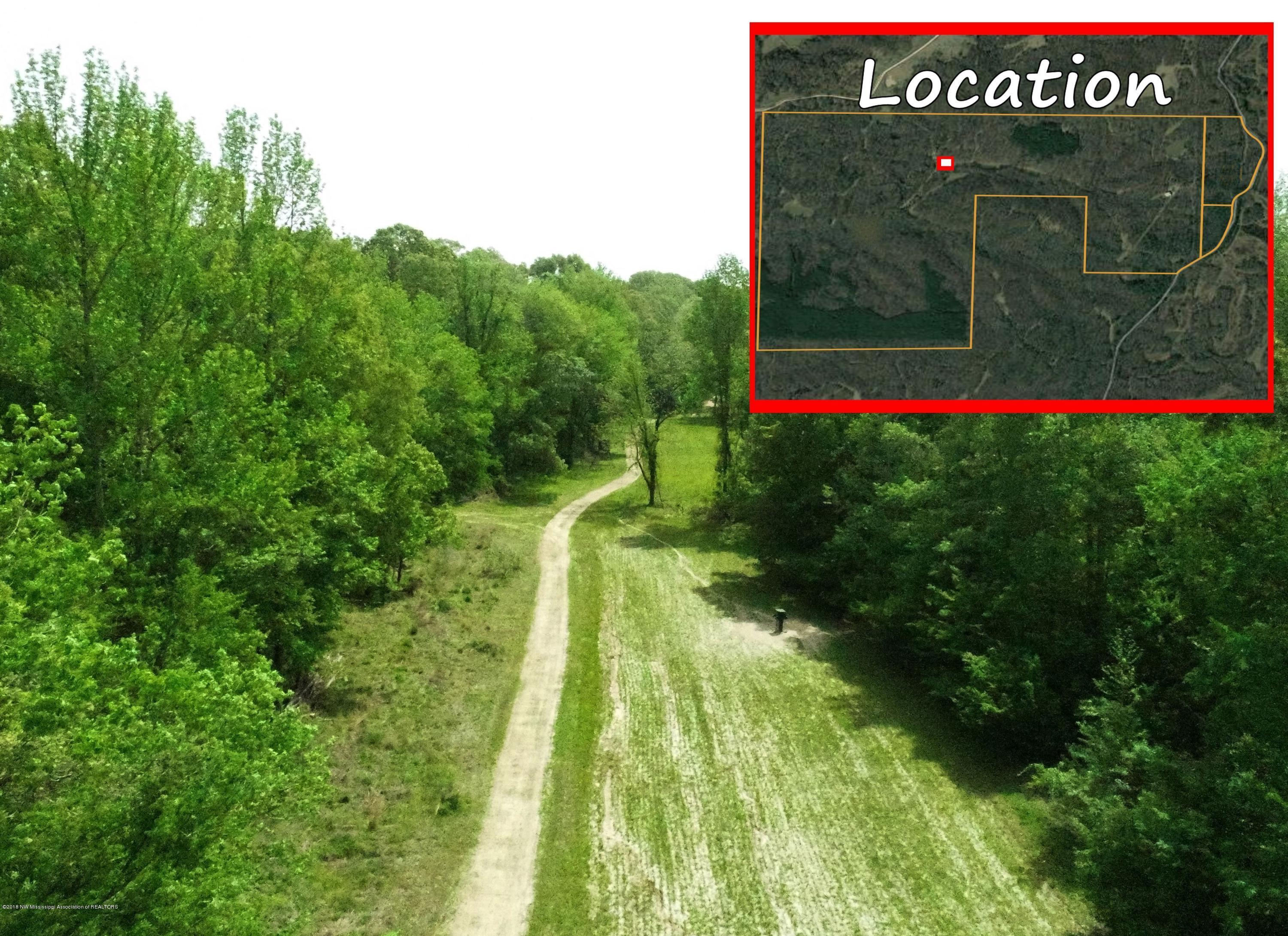 0 Fire Tower Road Como, MS 38619 - Photo 16 of 56 DJI_0039.5