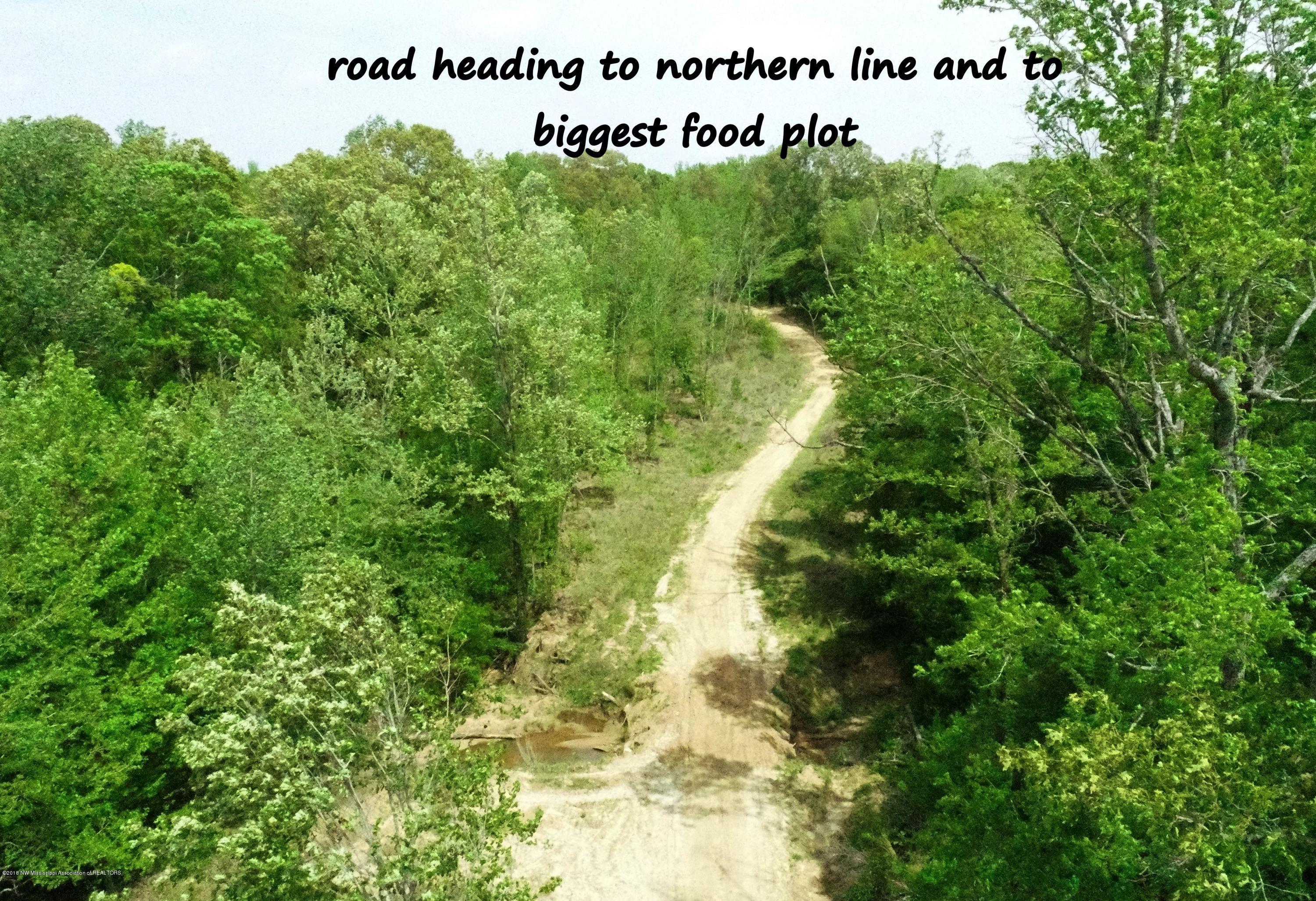 0 Fire Tower Road Como, MS 38619 - Photo 17 of 56 DJI_0041B2