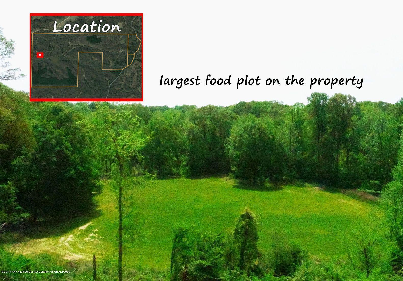 0 Fire Tower Road Como, MS 38619 - Photo 18 of 56 DJI_0046 B
