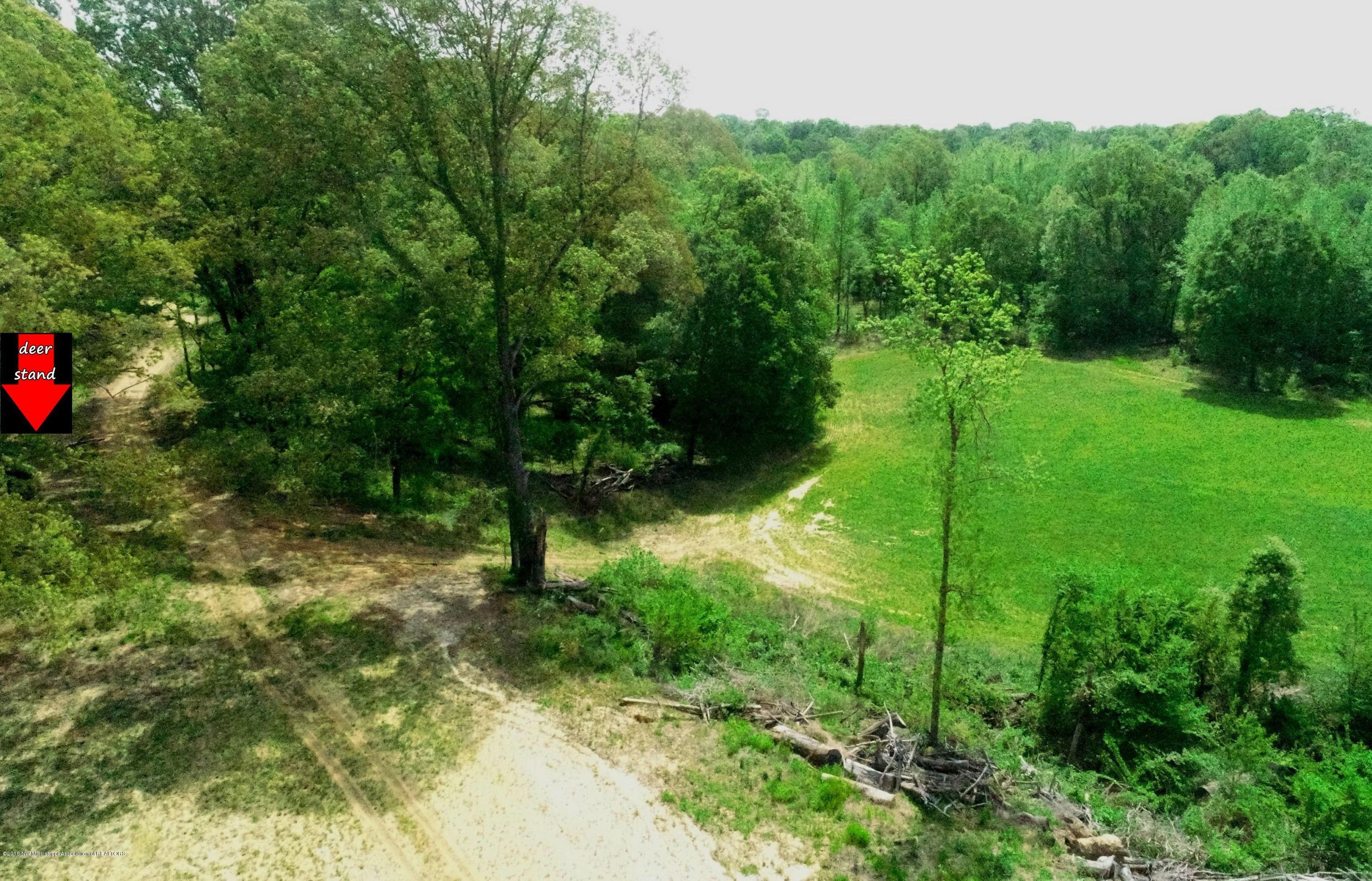 0 Fire Tower Road Como, MS 38619 - Photo 19 of 56 DJI_0047 B