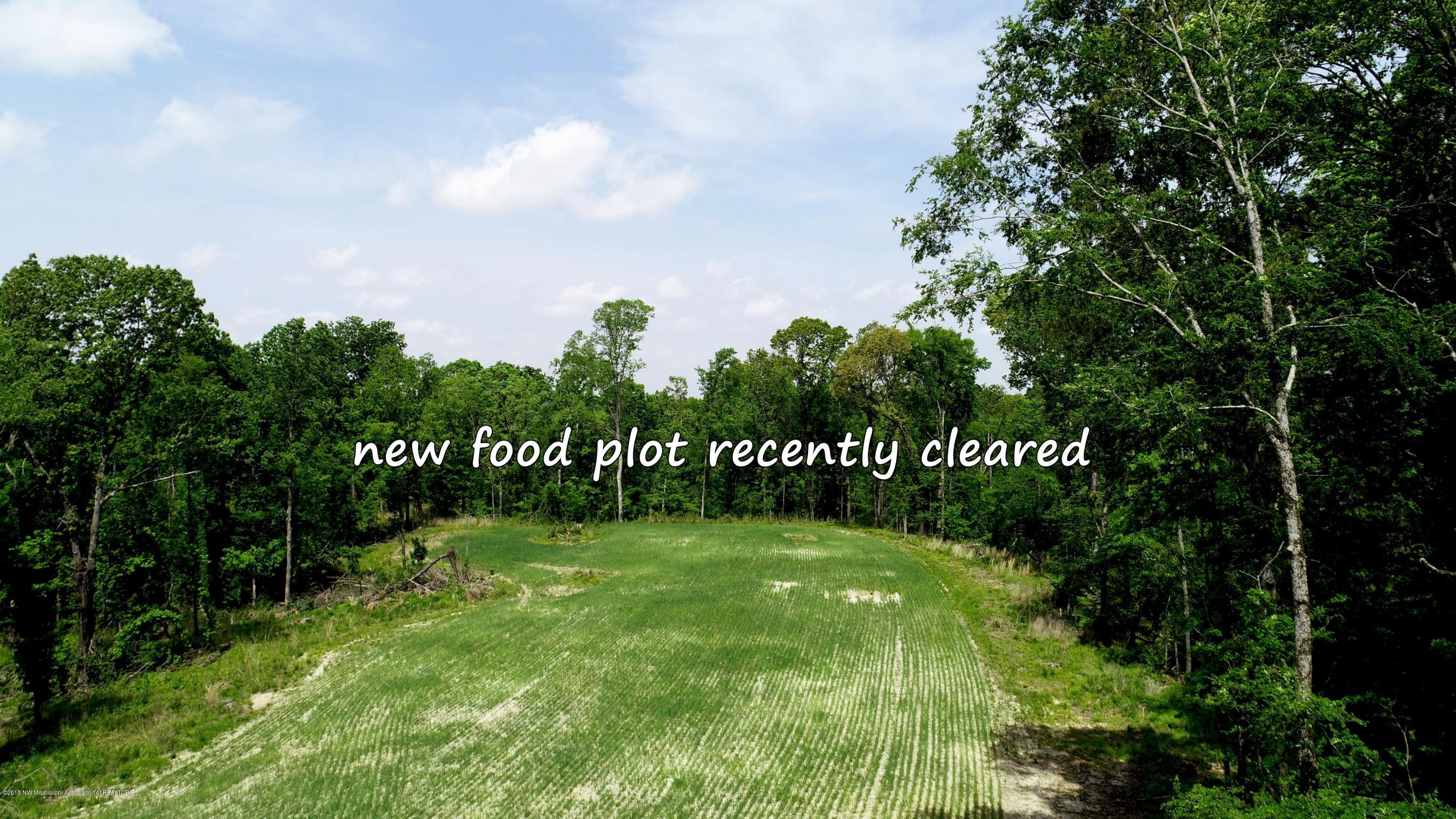 0 Fire Tower Road Como, MS 38619 - Photo 20 of 56 DJI_0049 B