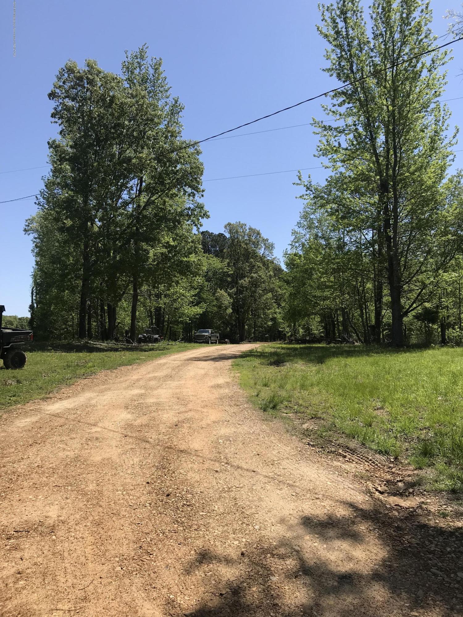 0 Fire Tower Road Como, MS 38619 - Photo 28 of 56 IMG_3313
