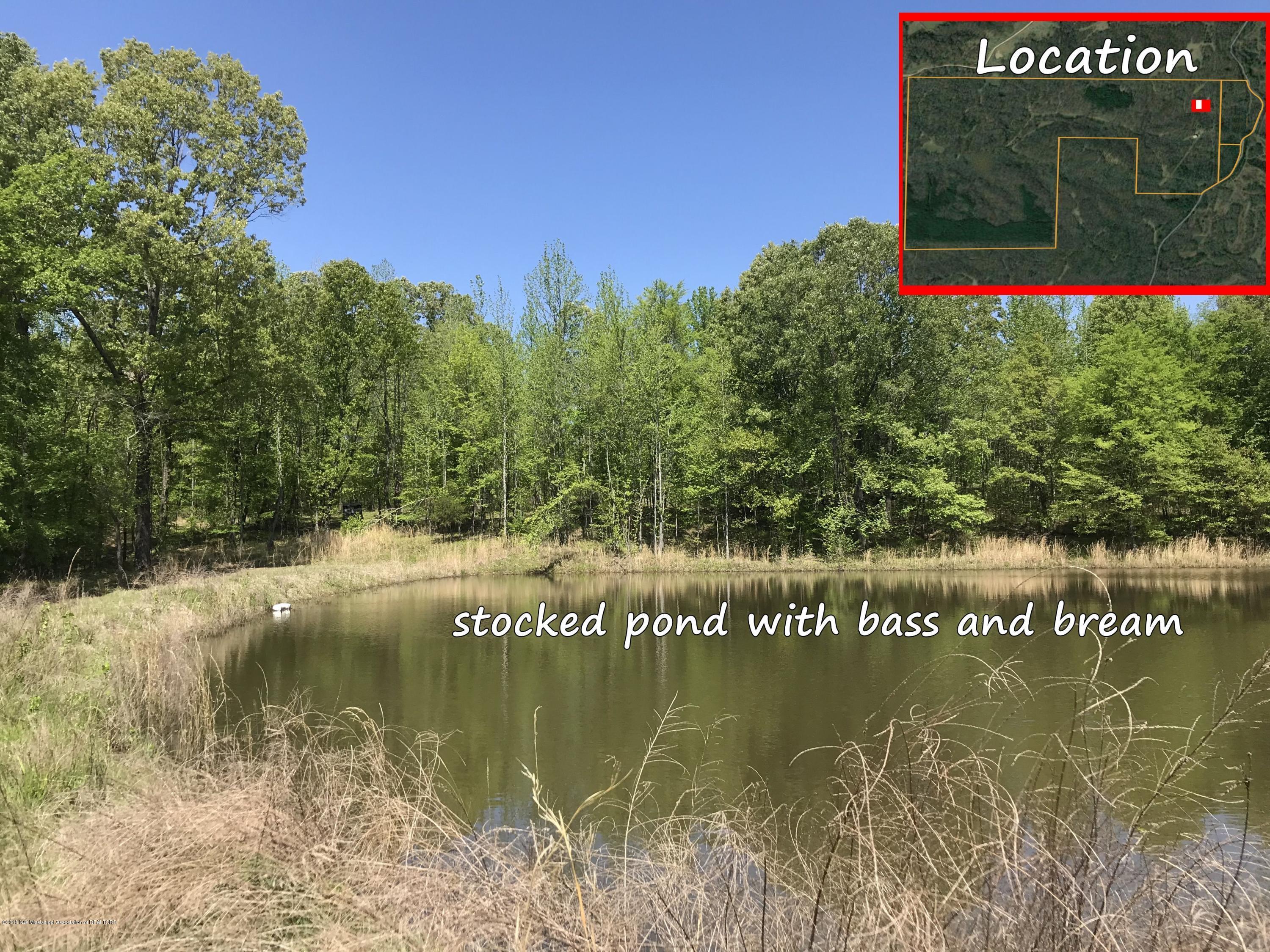 0 Fire Tower Road Como, MS 38619 - Photo 29 of 56 IMG_3320