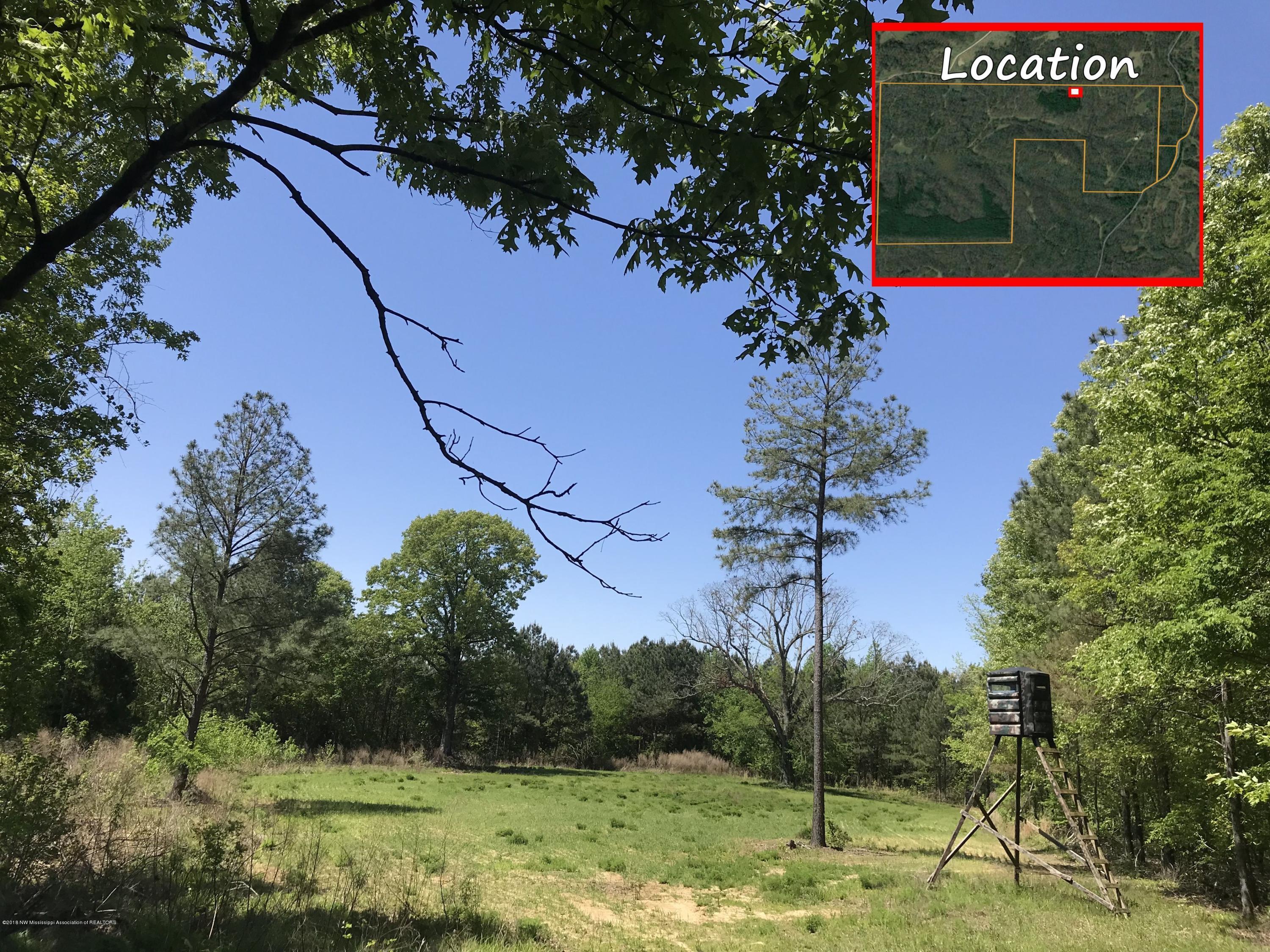 0 Fire Tower Road Como, MS 38619 - Photo 31 of 56 IMG_3328