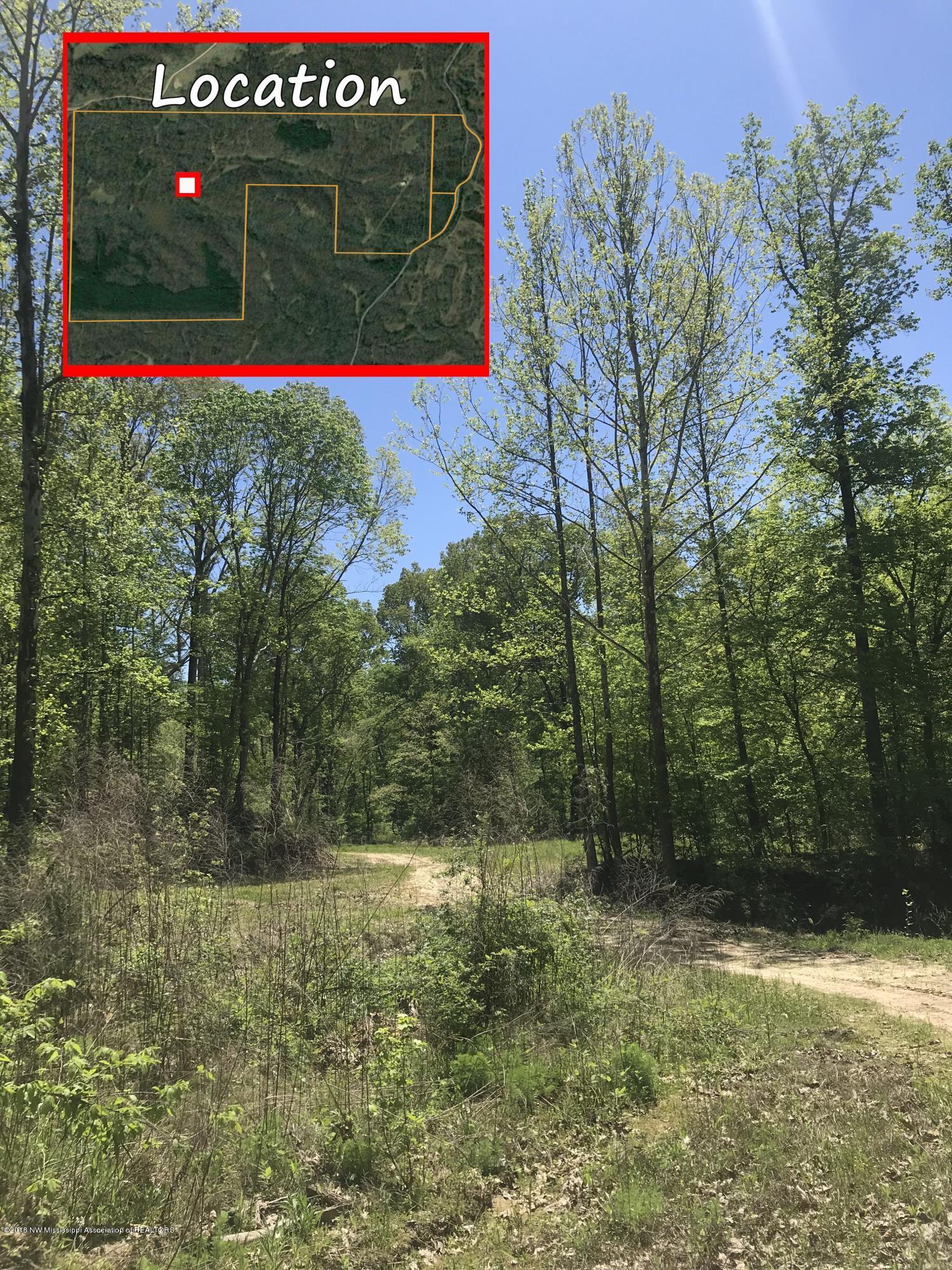 0 Fire Tower Road Como, MS 38619 - Photo 52 of 56 IMG_3459