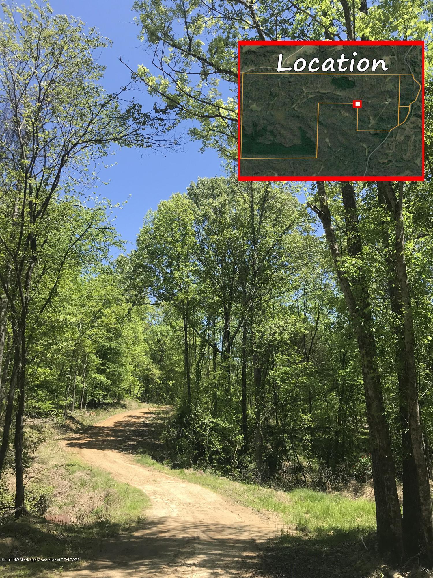 0 Fire Tower Road Como, MS 38619 - Photo 53 of 56 IMG_3468