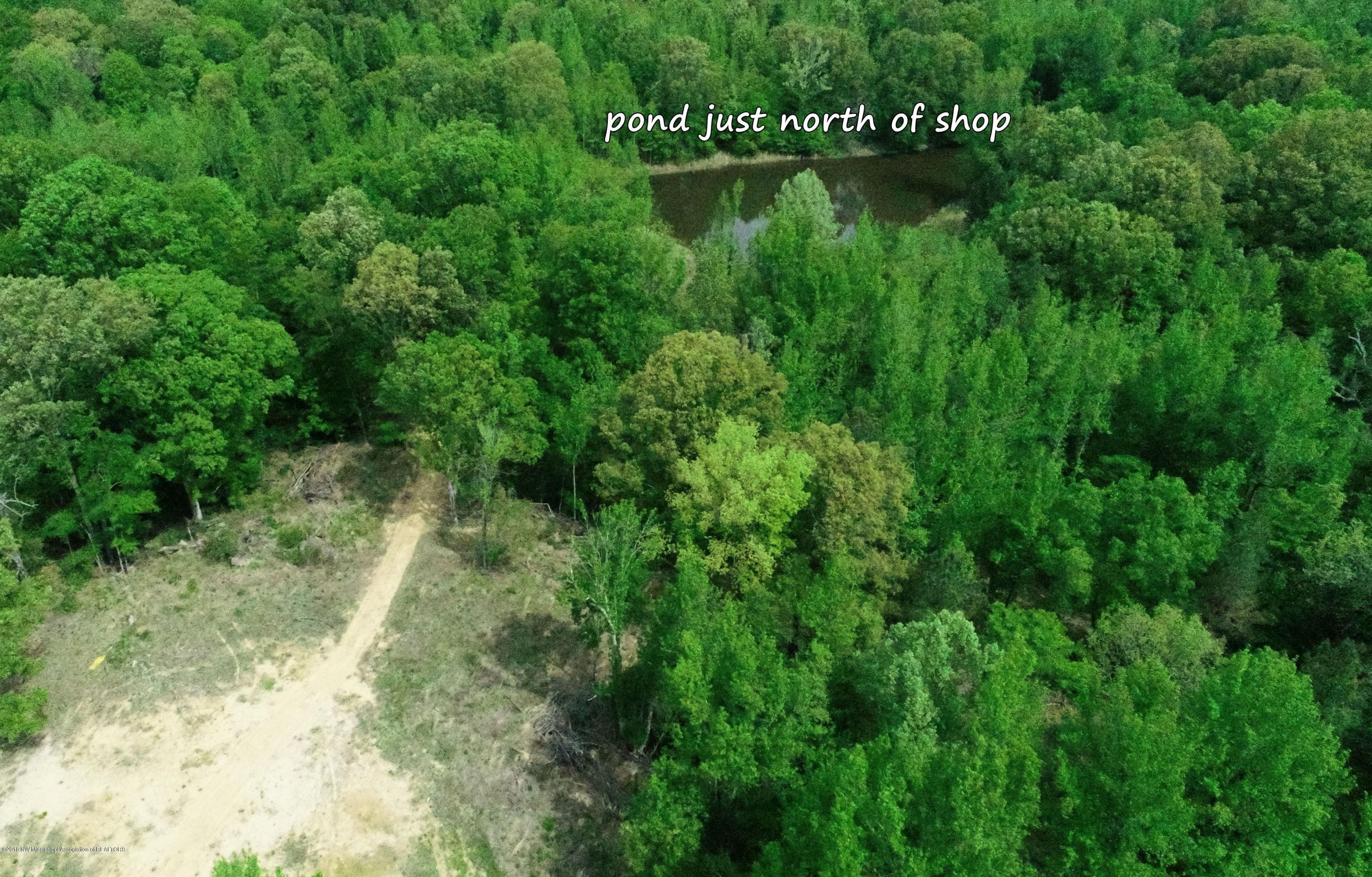 0 Fire Tower Road Como, MS 38619 - Photo 8 of 56 DJI_0014 B