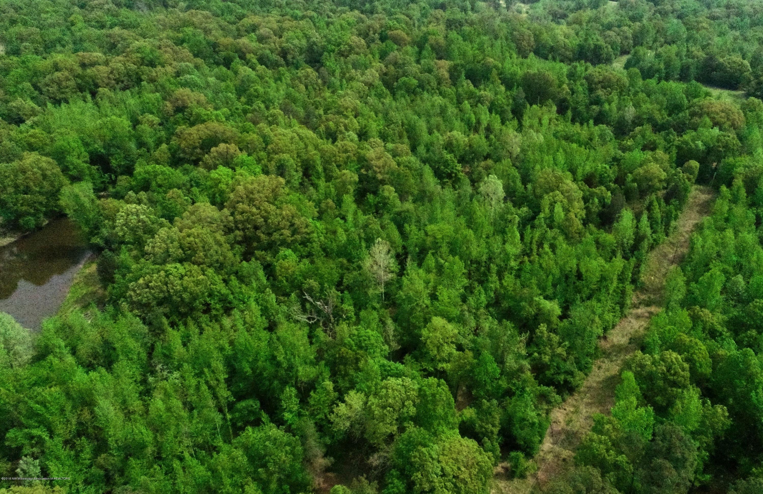 0 Fire Tower Road Como, MS 38619 - Photo 9 of 56 DJI_0015 B