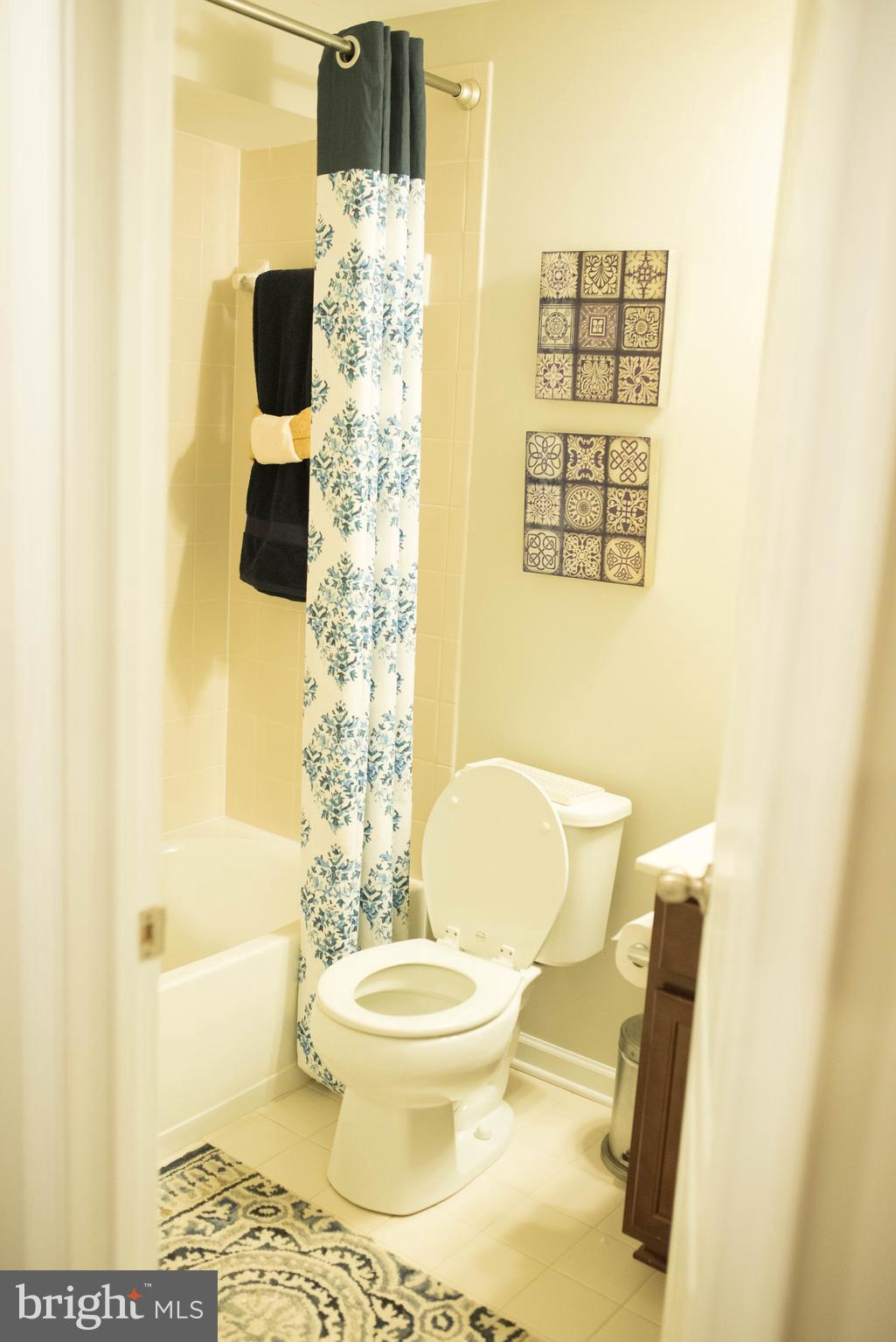 10550 Braddock Run Road Baltimore, MD 21220 - Photo 23 of 23 Bath
