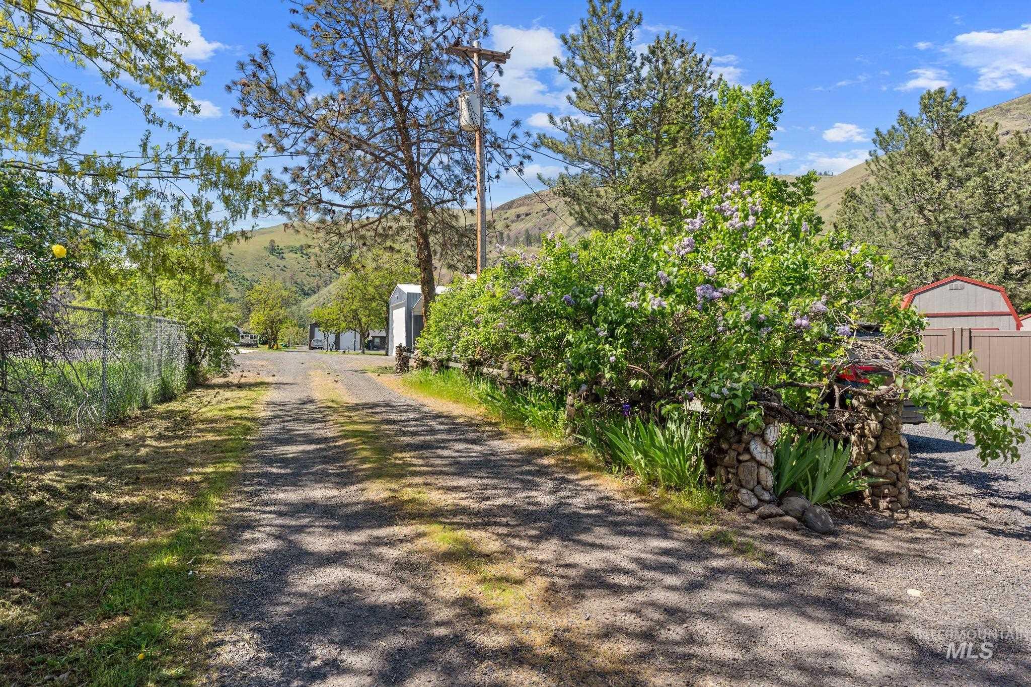 20015 Clark Street Juliaetta, ID 83535 - Photo 35 of 46 Gravel driveway with a chain-link fence & mature trees