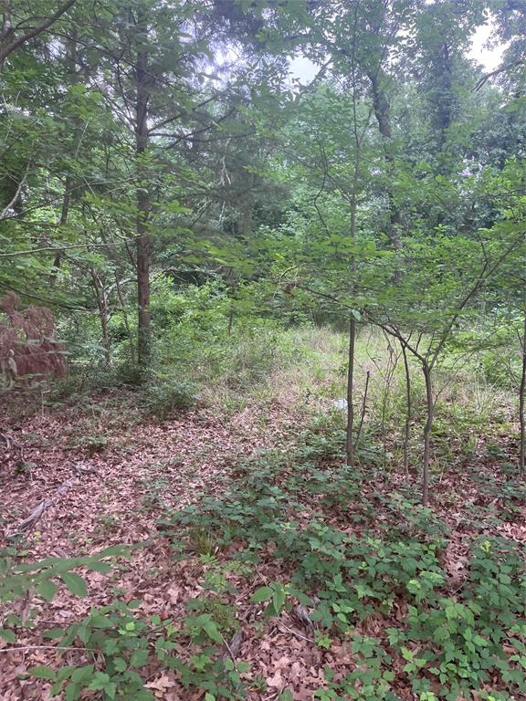 106 Red Bluff Loop Mabank, TX 75156 - Photo 1 of 3 a view of outdoor space and green space