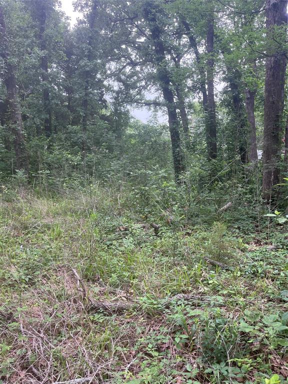 106 Red Bluff Loop Mabank, TX 75156 - Photo 2 of 3 a view of a forest with trees in the background