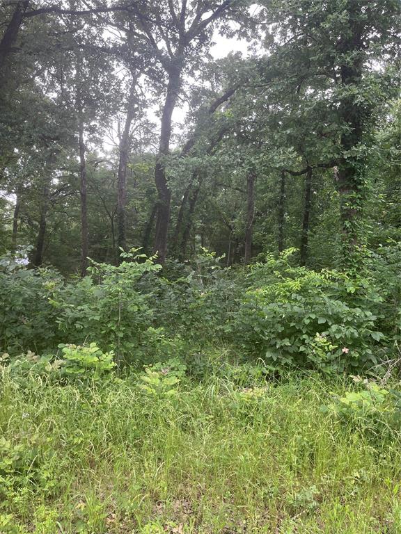 106 Red Bluff Loop Mabank, TX 75156 - Photo 3 of 3 a big yard with lots of green space and deers