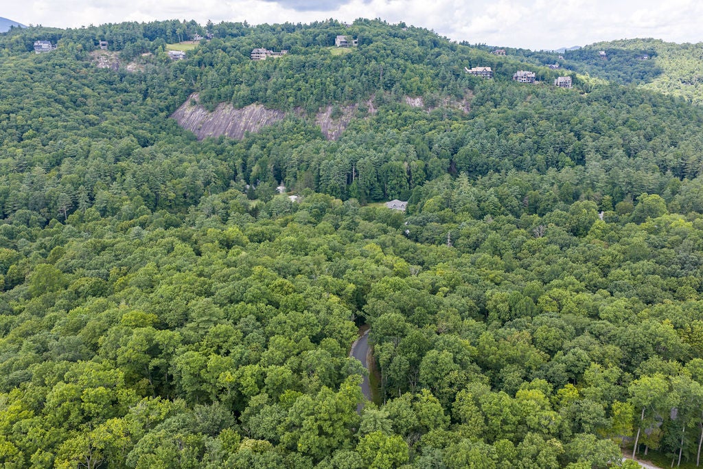 5 Lone Panther Ridge Sylva, NC 28779 - Photo 18 of 19 Gallery Image 18