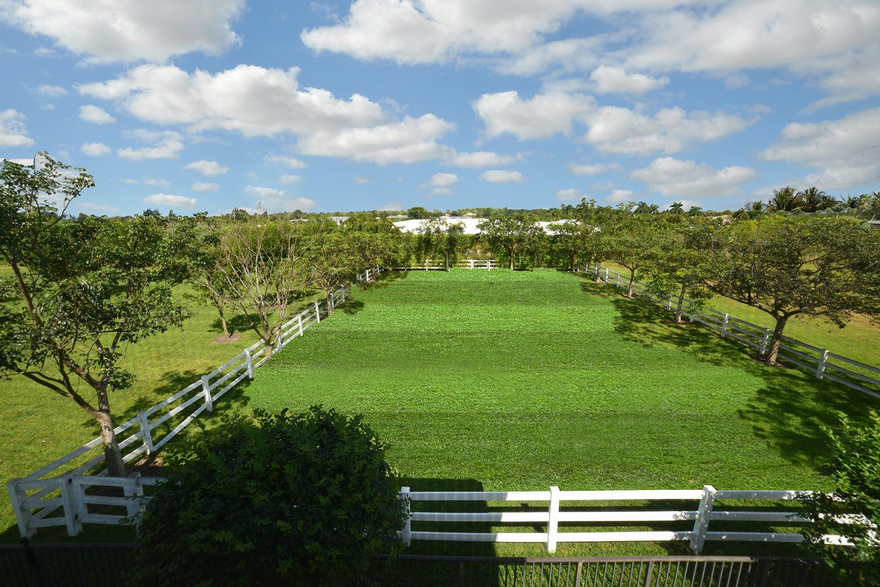 9812 Equus Circle Boynton Beach, FL 33472 - Photo 6 of 39 View from the Veranda