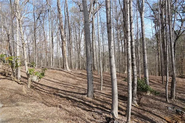 a backyard of a house with lots of green space