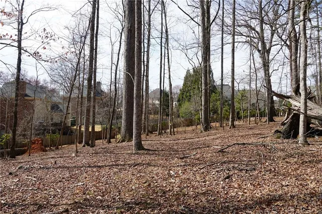 a backyard of a house with lots of green space