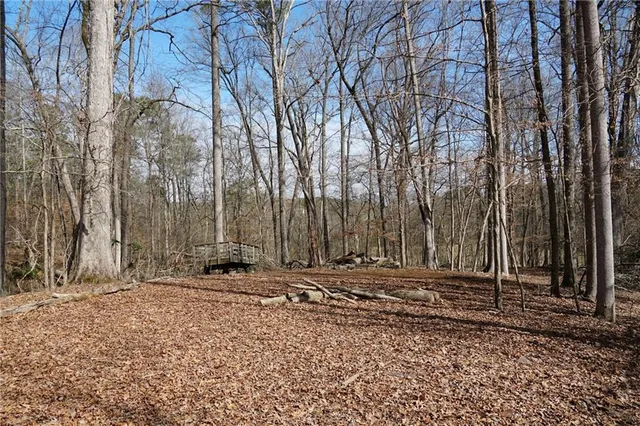 a view of a backyard with large trees
