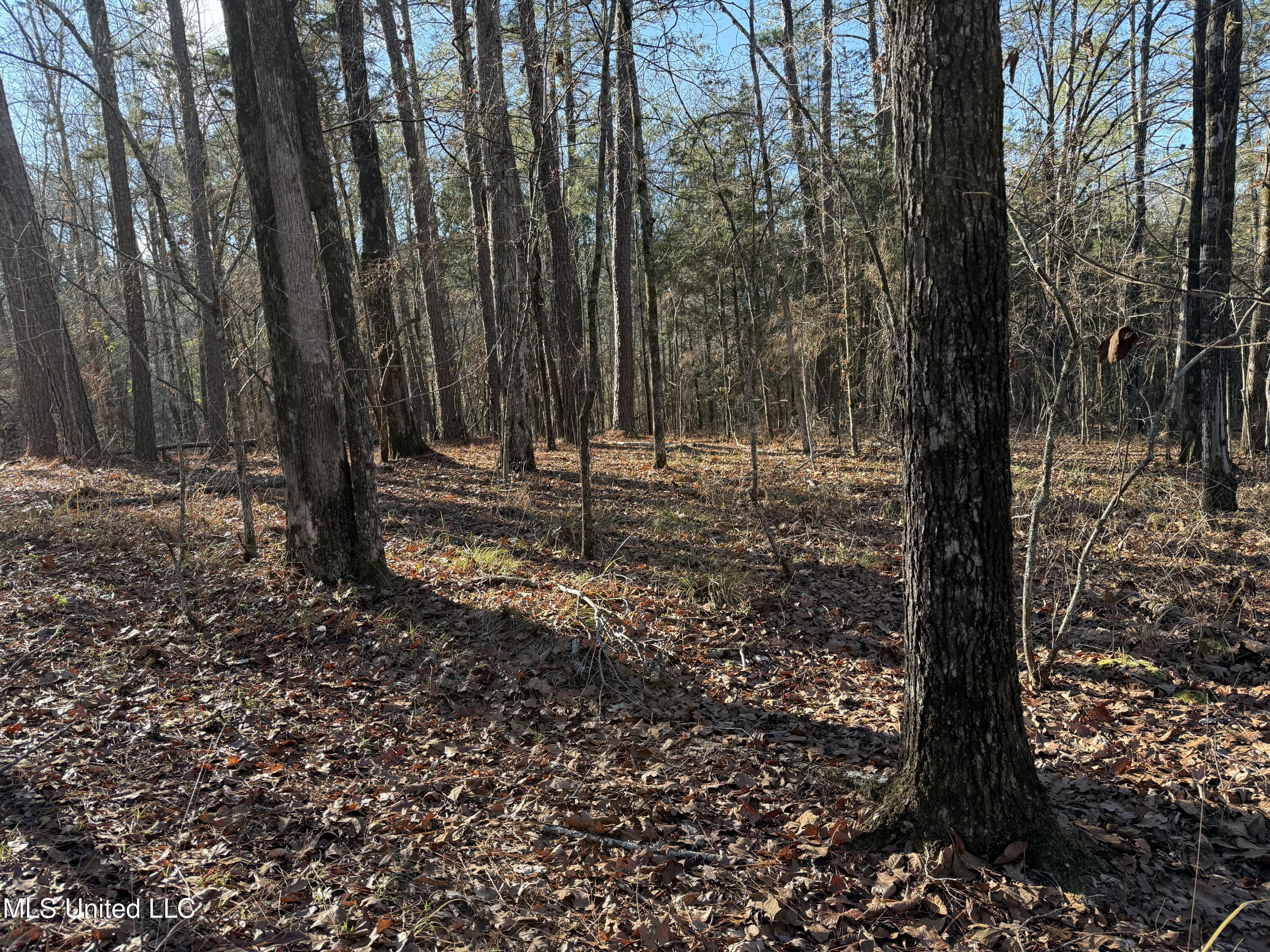 South McRaven Road Jackson, MS 39209 - Photo 13 of 20 Photo Jan 13 2025, 3 05 08 PM