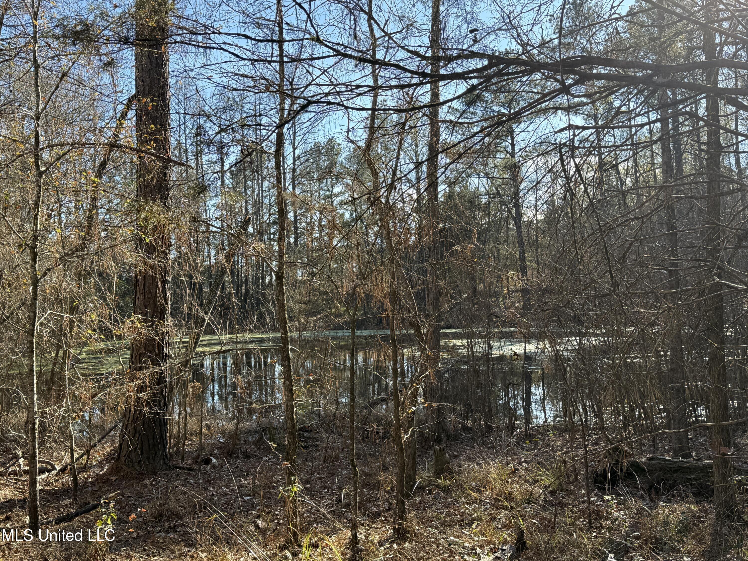 South McRaven Road Jackson, MS 39209 - Photo 18 of 20 Photo Jan 13 2025, 2 56 41 PM