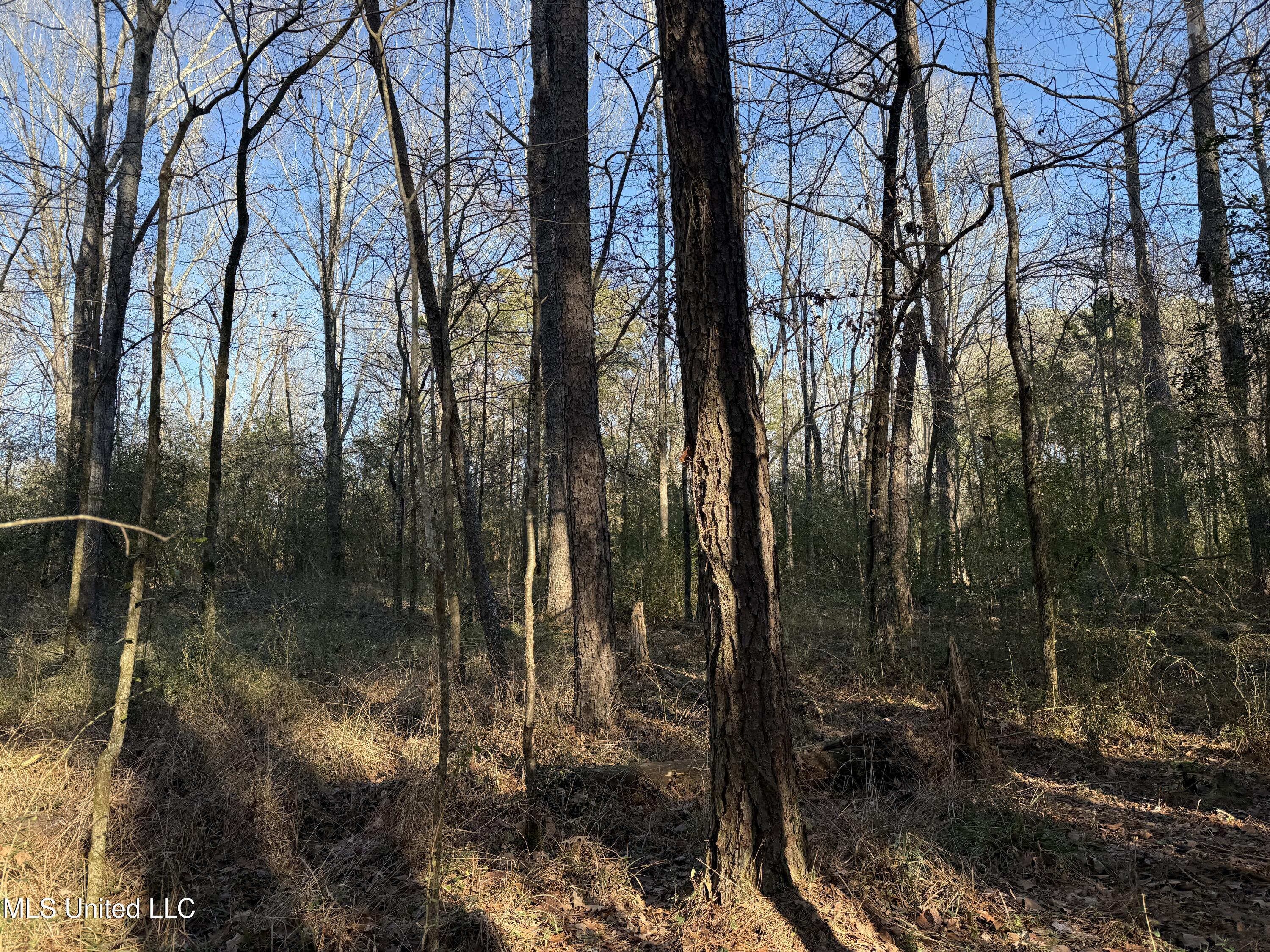 South McRaven Road Jackson, MS 39209 - Photo 20 of 20 Photo Jan 13 2025, 2 59 51 PM