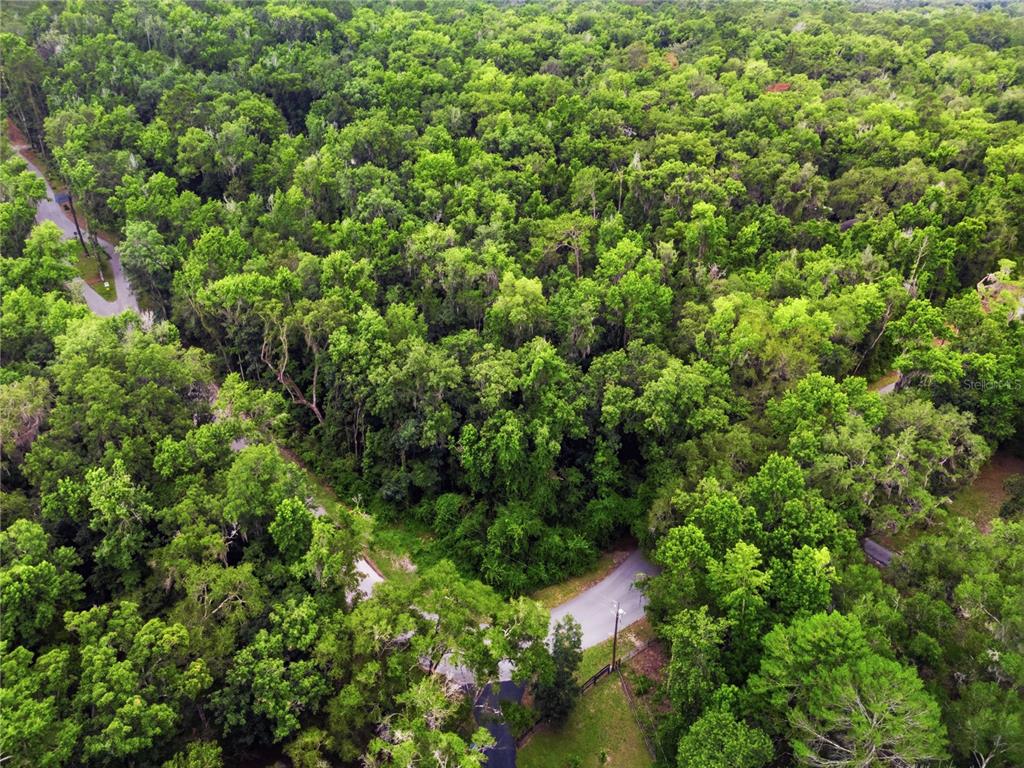 26000 Withrow Road Brooksville, FL 34601 - Photo 13 of 17