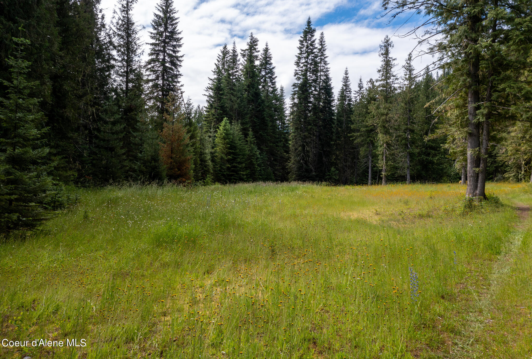 Nna Beaver Creek Road Wallace, ID 83873 - Photo 15 of 57 DJI_0855-HDR-45