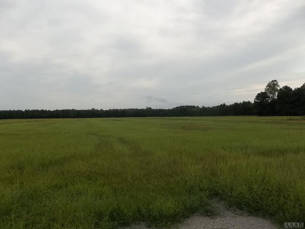 Tbd Crooked Run Road Elizabeth City, NC 27909 - Photo 1 of 1 Main View