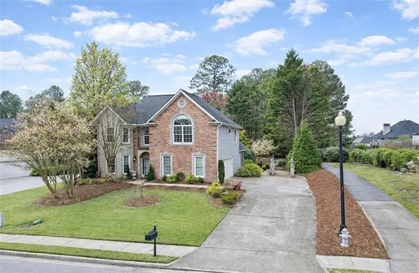 a view of a yard with plants and trees