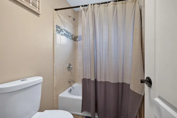 a view of a yard with plants and trees