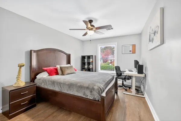 a view of a yard with plants and trees