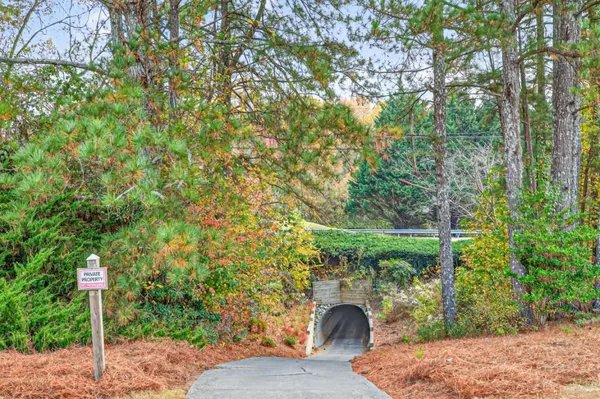 a view of a yard with large trees