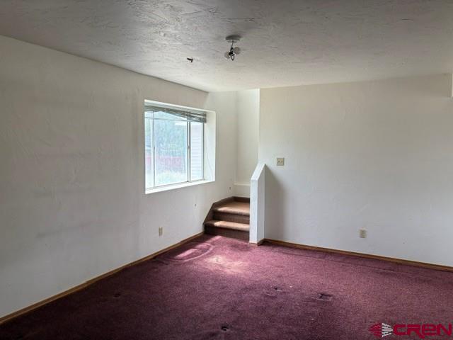 12471 Rockhill Road Eckert, CO 81418 - Photo 5 of 17