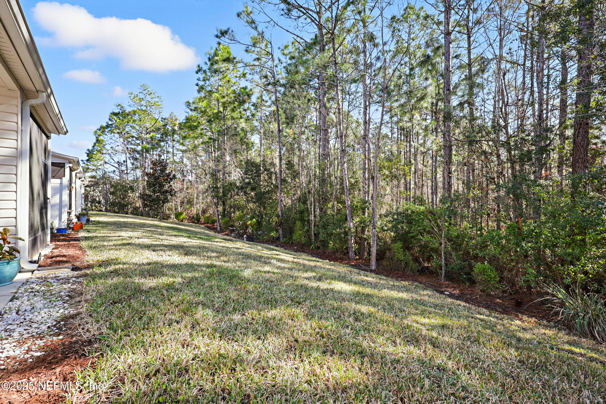 63 Via Sonrisa St. Augustine, FL 32092 - Photo 38 of 48 a view of a yard with plants and trees