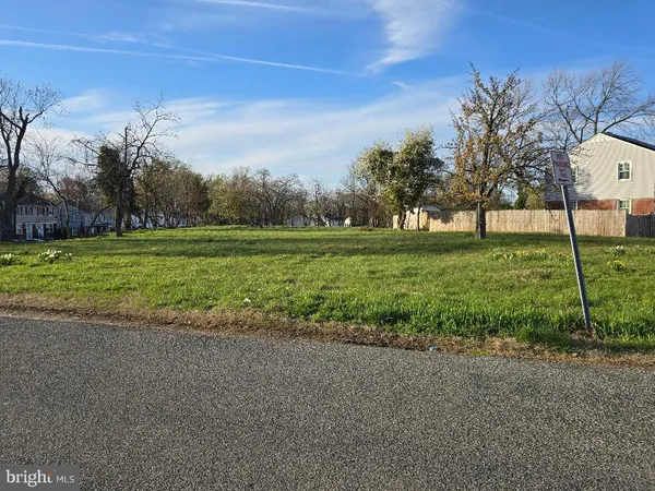 a view of a park with large trees