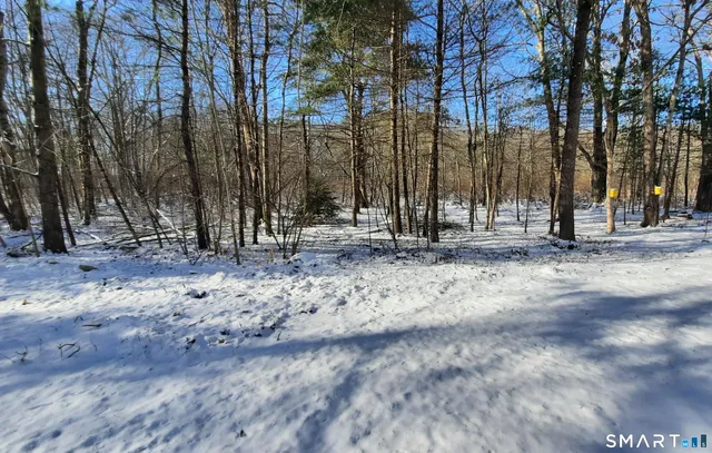 a backyard of a building with trees