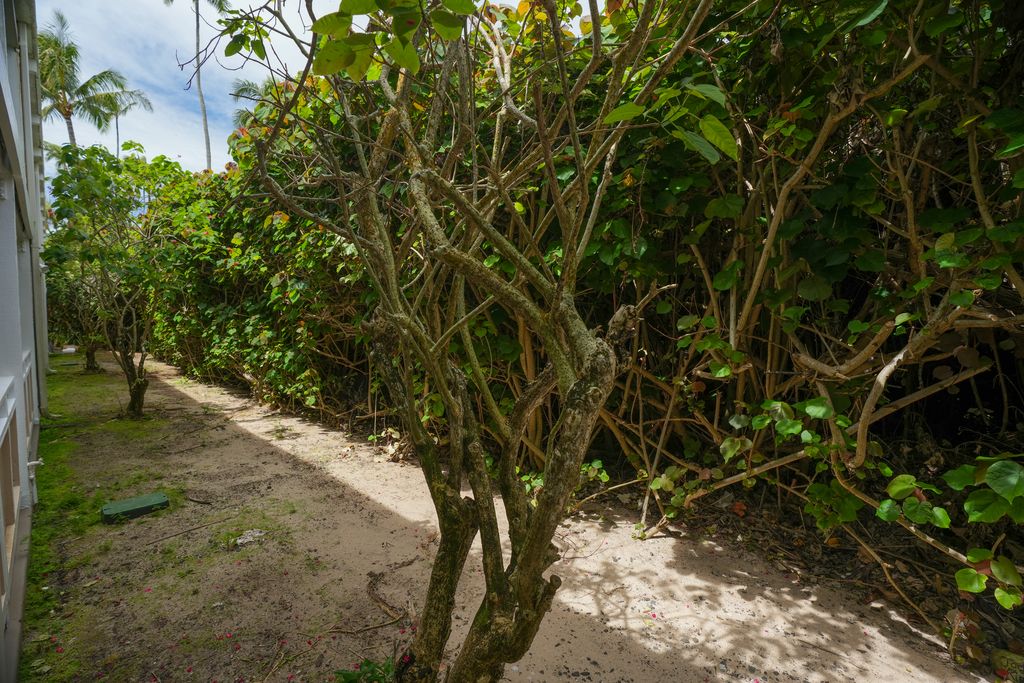 525 Aleka Loop, Unit B8 Kapaa, HI 96746 - Photo 12 of 27