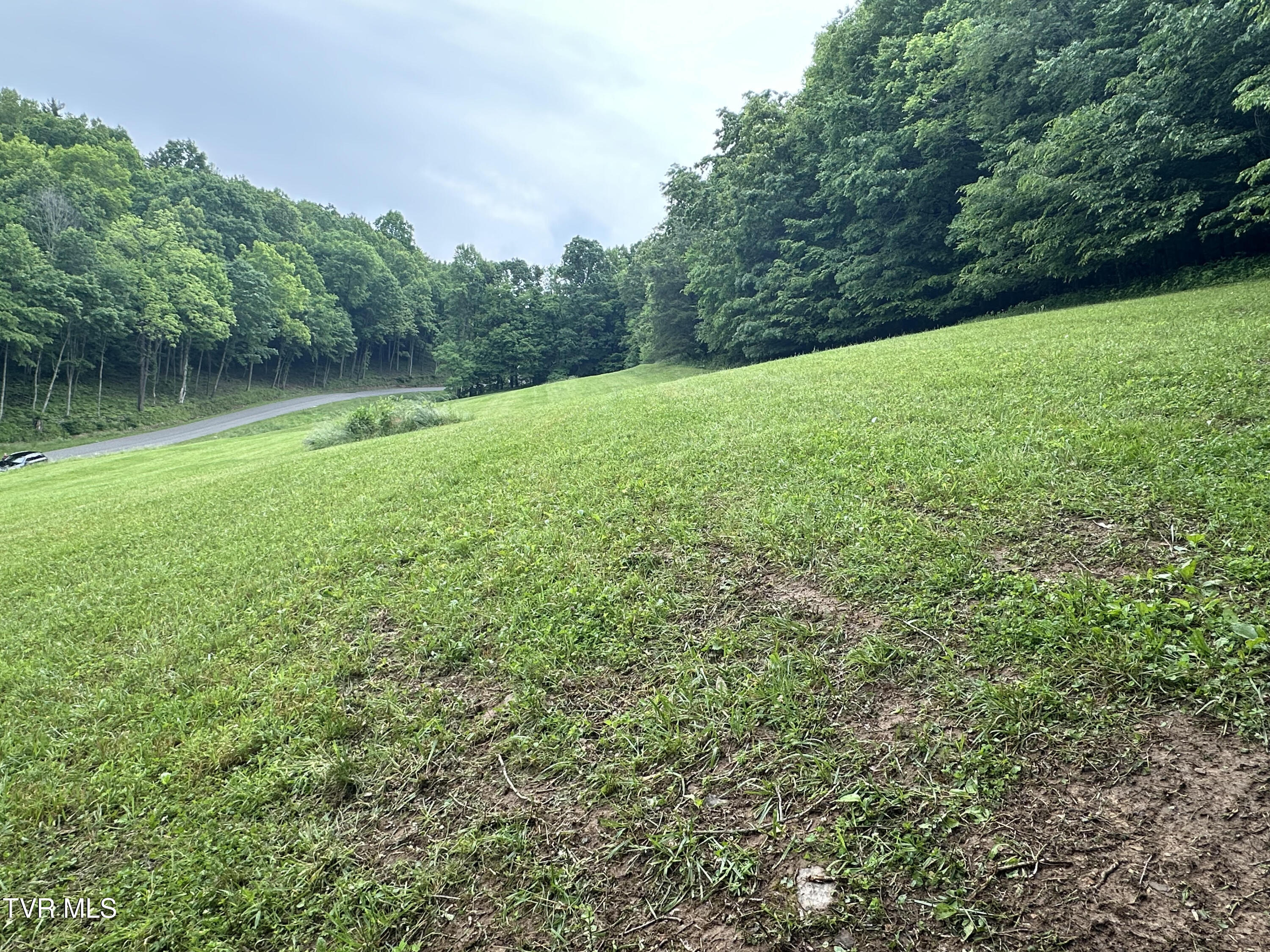 Lot 8 High Country Road, Unit 8 Butler, TN 37640 - Photo 8 of 15 Butler 5