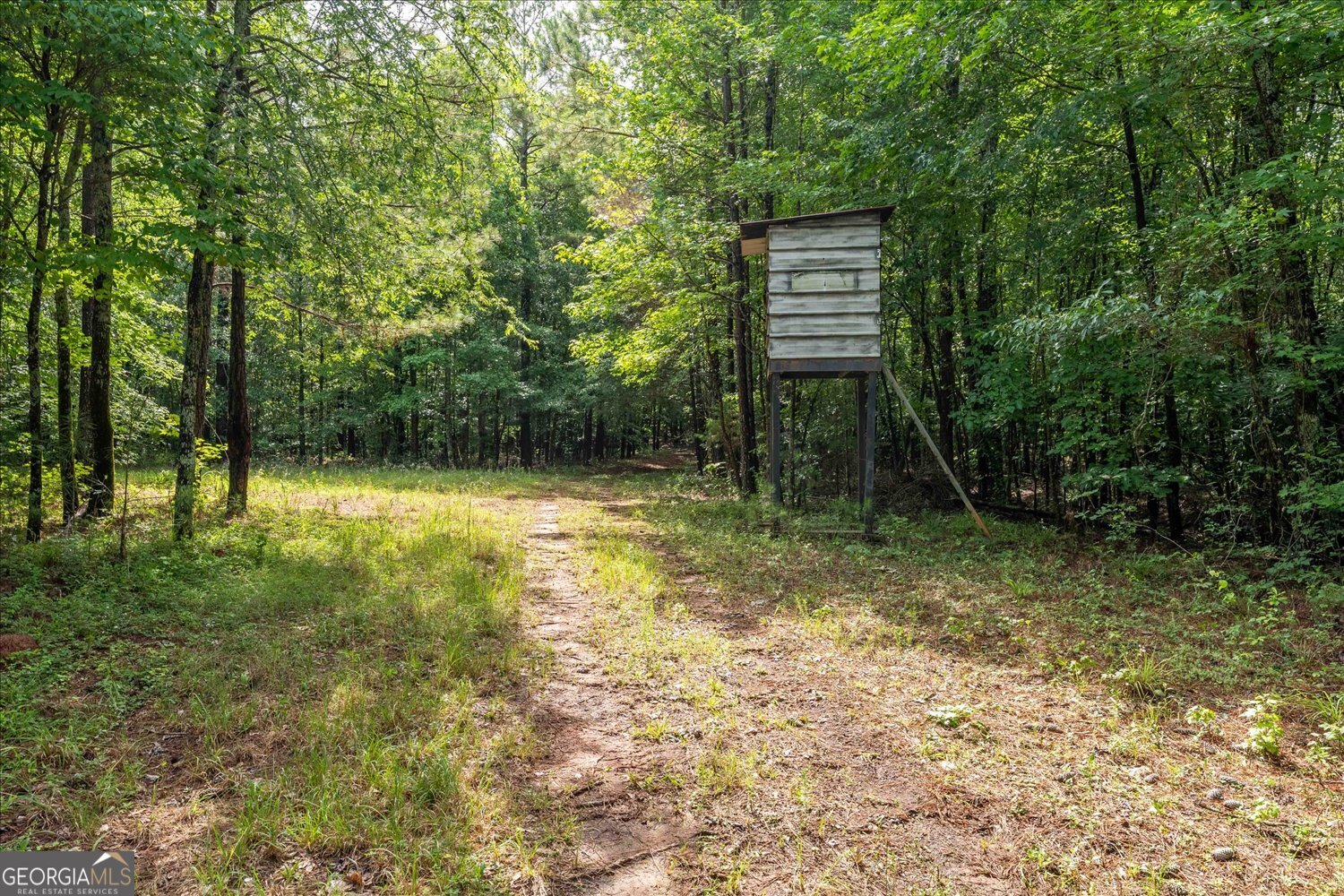 3328 Lundberg Road Washington, GA 30673 - Photo 15 of 19