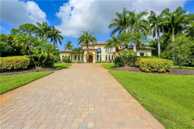 a view of a yard with plants and palm trees